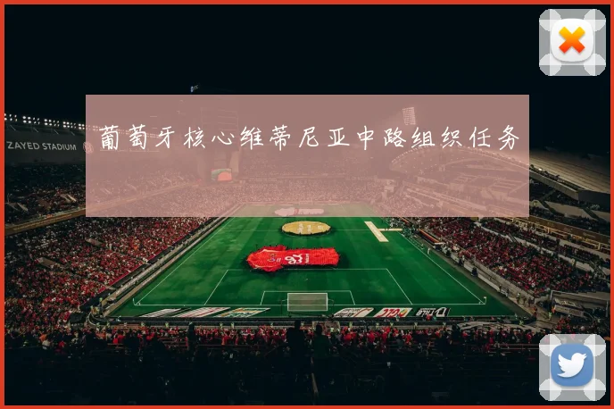 葡萄牙核心维蒂尼亚中路组织任务