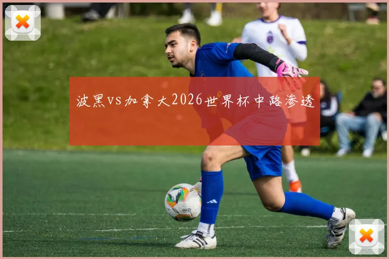 波黑vs加拿大2026世界杯中路渗透