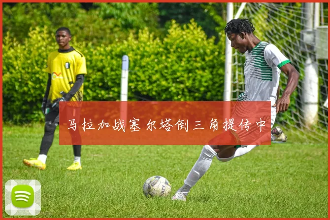 马拉加战塞尔塔倒三角提传中