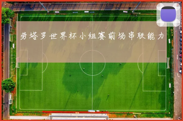 劳塔罗世界杯小组赛前场串联能力