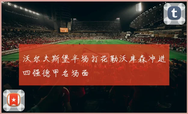 沃尔夫斯堡半场打花勒沃库森冲进四强德甲名场面