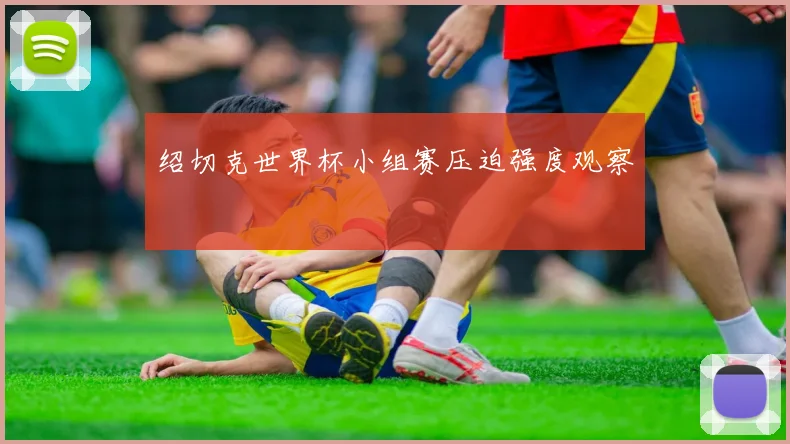 绍切克世界杯小组赛压迫强度观察